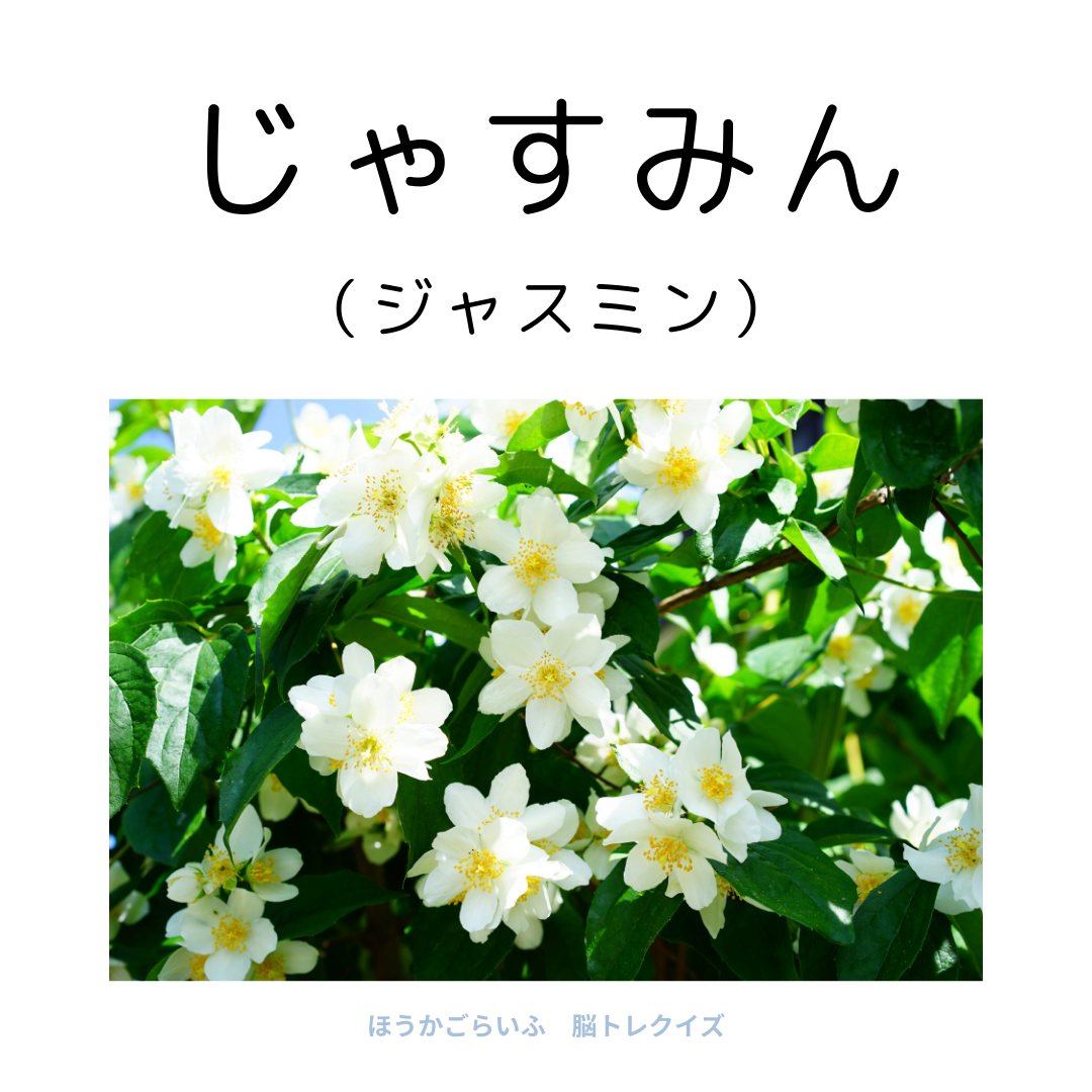 高齢者向け（無料）言葉の並び替えで脳トレしよう！文字（ひらがな）を並び替える簡単なゲーム【花の名前】健康寿命を延ばす鍵